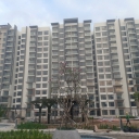 DỒN LỰC CHO GIAI ĐOẠN NƯỚC RÚT DỰ ÁN CELADON CITY